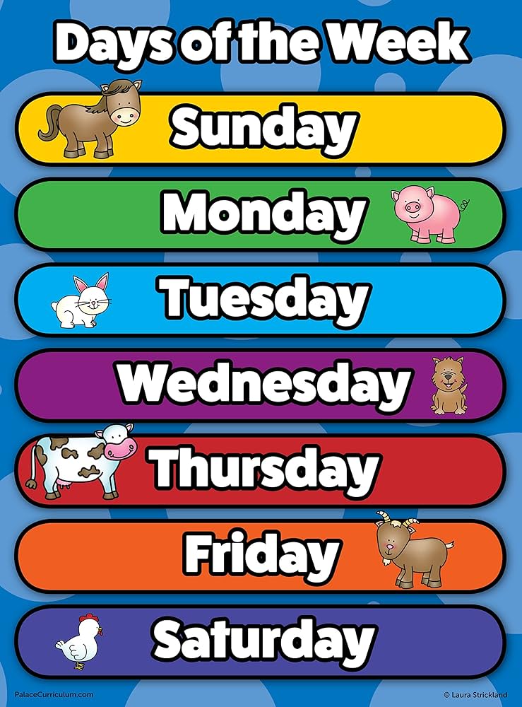 Amazon.co.jp: Day of The Week ポスターチャート - ラミネート